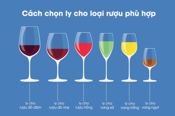 7 phụ kiện rượu vang không thể thiếu khi phục vụ